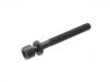 Cylinder Head Bolt:049 103 385