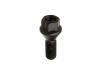 Wheel Bolt:4398277
