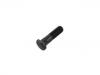 Radbolzen Wheel Bolt:042119082