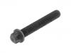 Schraube Bolt:078 105 425 F